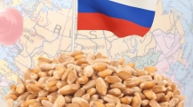 Trigo Rússia