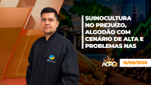 BOA TARDE AGRONEGÓCIO