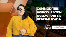 BOA TARDE AGRONEGÓCIO