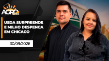 BOA TARDE AGRONEGÓCIO