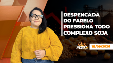 BOA TARDE AGRONEGÓCIO