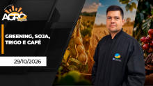 BOA TARDE AGRONEGÓCIO Gui