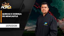BOA TARDE AGRONEGÓCIO Gui