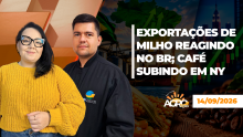 BOA TARDE AGRONEGÓCIO