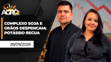 BOA TARDE AGRONEGÓCIO