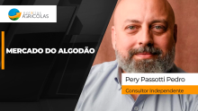 BOLETINS THUMB ALGODÃO