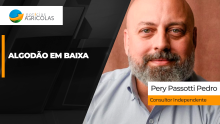 BOLETINS THUMB ALGODÃO