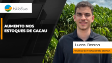 BOLETINS THUMB CACAU