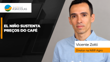 BOLETINS THUMB CAFÉ