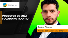 BOLETINS THUMB SOJA