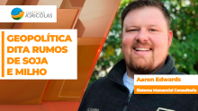 BOLETINS THUMB SOJA
