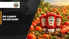THUMB_DO CAMPO AO KETCHUP.jpg