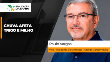 THUMB YOUTUBE E SITE RDS