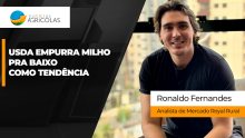 THUMB YOUTUBE E SITE SEMANA DAS COMMODITIES