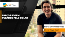THUMB YOUTUBE E SITE SEMANA DAS COMMODITIES
