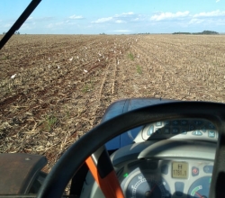 Plantio de soja em Aral Moreira (MS). Envio do Produtor Ladi Caetano Ansilago