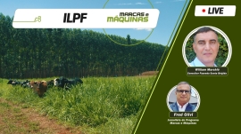 Sistema iLPF apresenta resultados promissores tanto na produtividade agrícola, quanto na engorda de bois