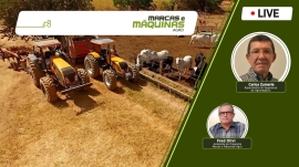 Especialista em segurança do agronegócio fala sobre ações para coibir crimes à propriedade rural.