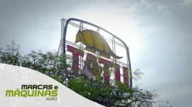 Cápsula do tempo celebra os 75 anos da Tatu Marchesan no Brasil