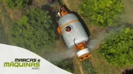 Em Pernambuco, um produtor de frutas conta com a eficiência das tecnologias da Jacto