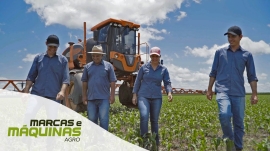 Atravessamos quatro estados para ver o trabalho da família Tristão nas lavouras do Maranhão