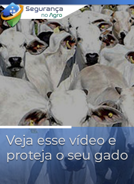 Segurança no Agro