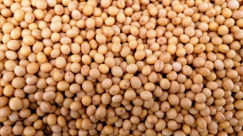Soja segue recuando em Chicago nesta 6ª feira e acumula 20 pts de baixa na semana