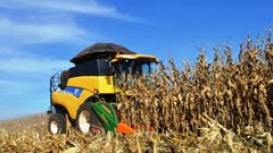 Colheita do milho passa dos 72% no MT enquanto IMEA reduz produtividade e eleva mais uma vez custos de produção