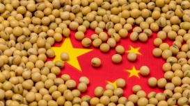 USDA informa nova venda de 132 mil t de soja para a China nesta 5ª feira