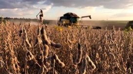 Soja segue lateralizada em Chicago nesta 6ª feira, ainda reagindo a cenários já conhecidos