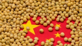 Soja do Brasil conta com confiança da China, mesmo se houver acordo com EUA, diz Abiove