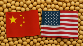USDA informa mais uma venda de soja para a China nesta 6ª feira (19) em dia de novo leilão