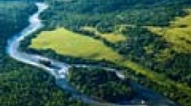 Seminário Novo Código Florestal