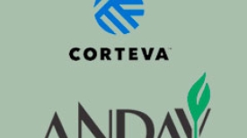Corteva - Andav