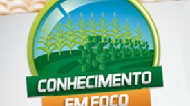 Conhecimento em Foco - Focoagro