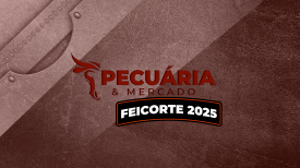 Feicorte 2025