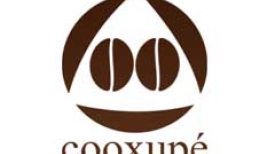 Cooxupé: estudo de sustentabilidade na cadeia produtiva do café