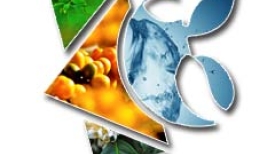 1º Fórum da Cafeicultura - Muzambinho/MG