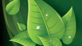 Hortitec 2016 - Holambra - SP