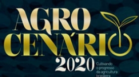 Agro Cenário 2020