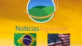 Safra de Grãos EUA 2016/17