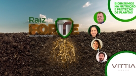Raiz Forte - Vittia