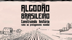 14º Congresso Brasileiro do Algodão