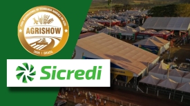 Sicredi | Agrishow 2026