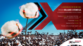 Congresso Brasileiro do Algodão - Bollgard 3 XtendFlex