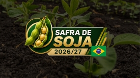 Safra 2026/27 de Soja do Brasil