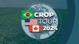 Crop Tour EUA & Canadá 2024 - Notícias Agrícolas e Grupo Labhoro