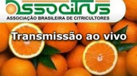 Associtrus: “O futuro da cadeia produtiva e sua atual realidade”
