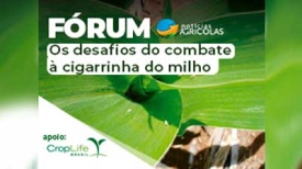 Fórum - Os desafios do combate à cigarrinha do milho
