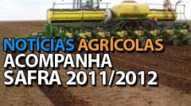 Evolução da Safra 2011/2012